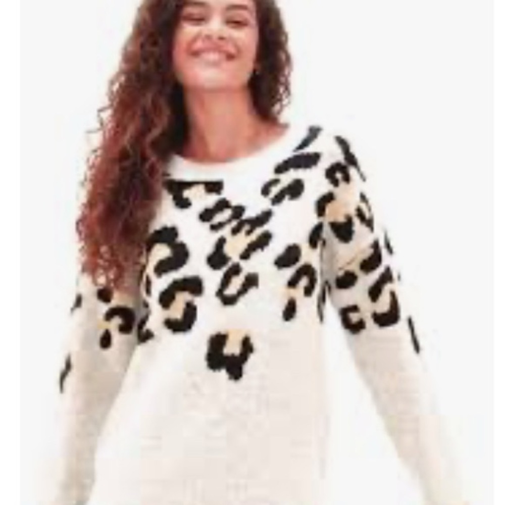 Animal Print  Sweater